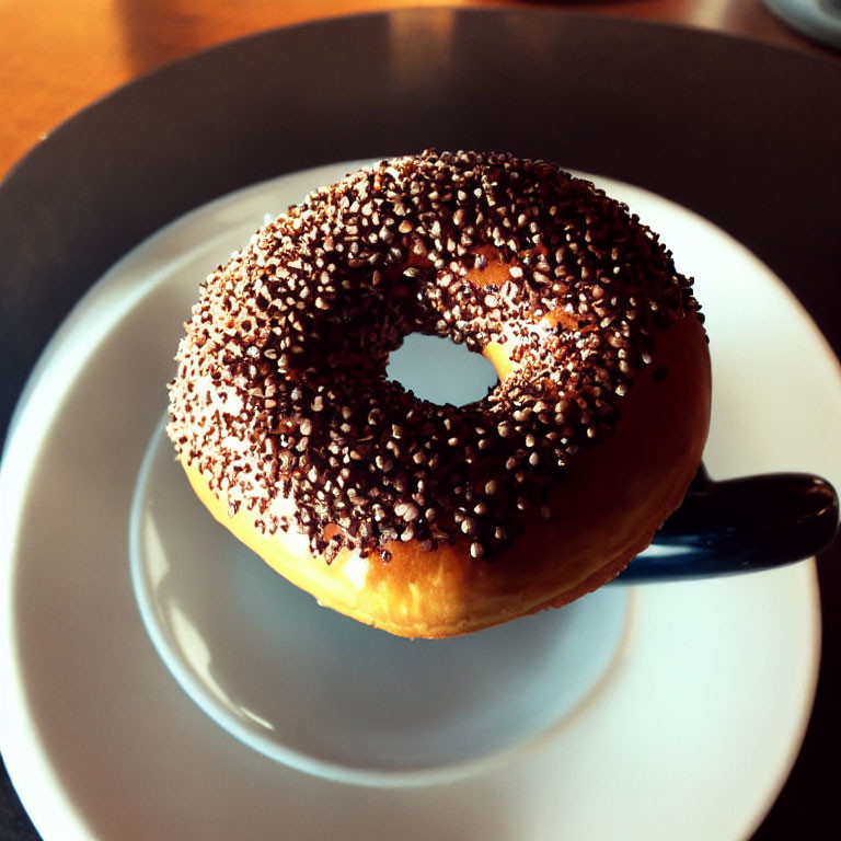 Chocolate-frosted donut with sprinkles on white plate, dark background, soft light.