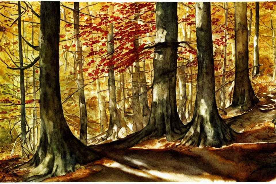 Autumn forest watercolor painting with sunlight filtering through trees