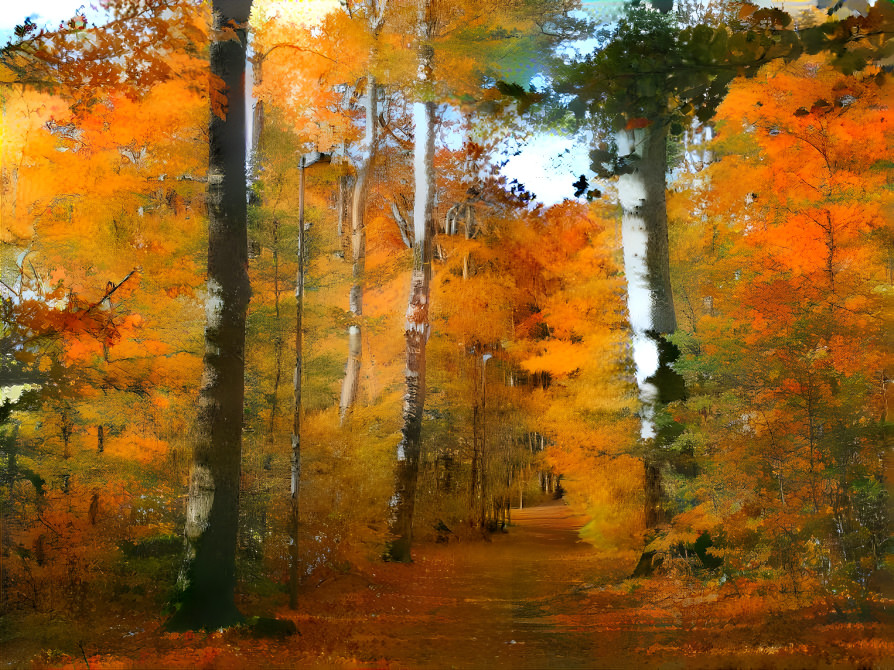 Autumn Trail