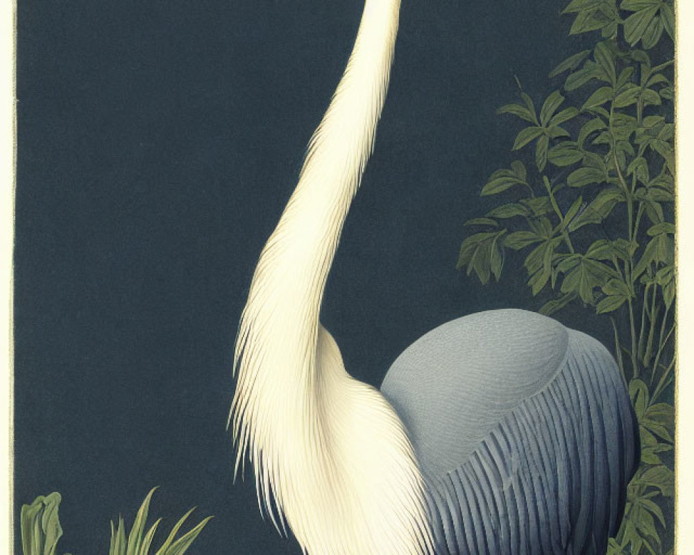 White heron with orange beak and legs beside green foliage on gray background