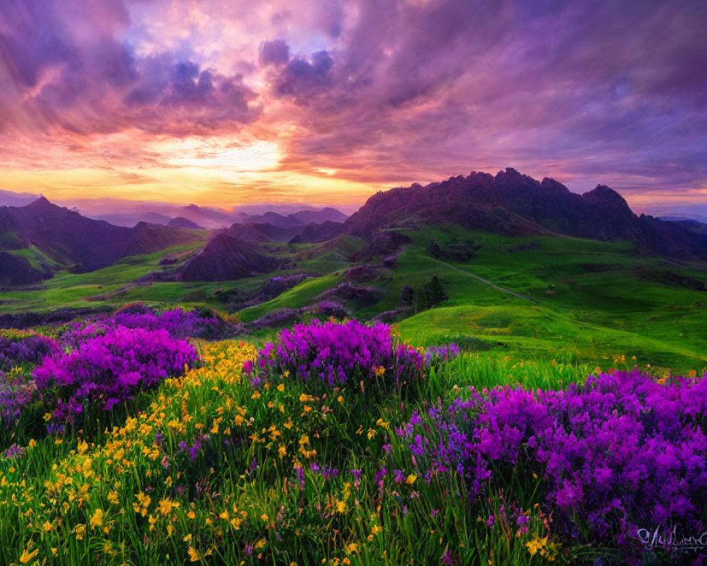 Scenic sunset over mountain landscape with wildflowers