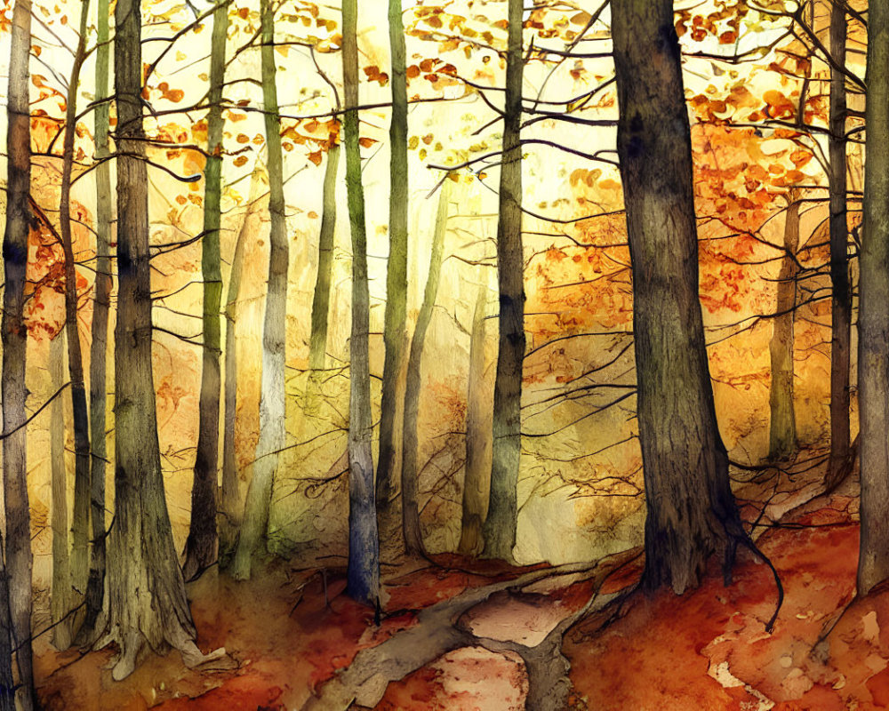 Sunlit Autumn Forest Watercolor Painting with Path and Tall Trees