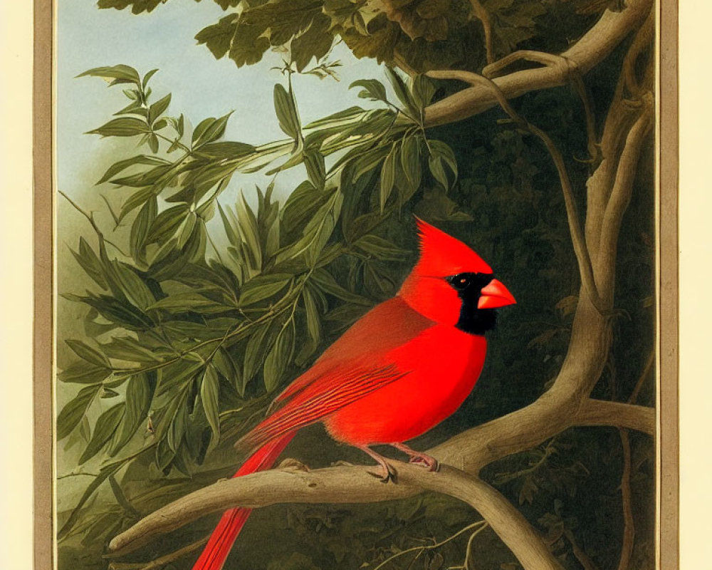 Red cardinal bird perched on tree branch with green leaves against pale sky