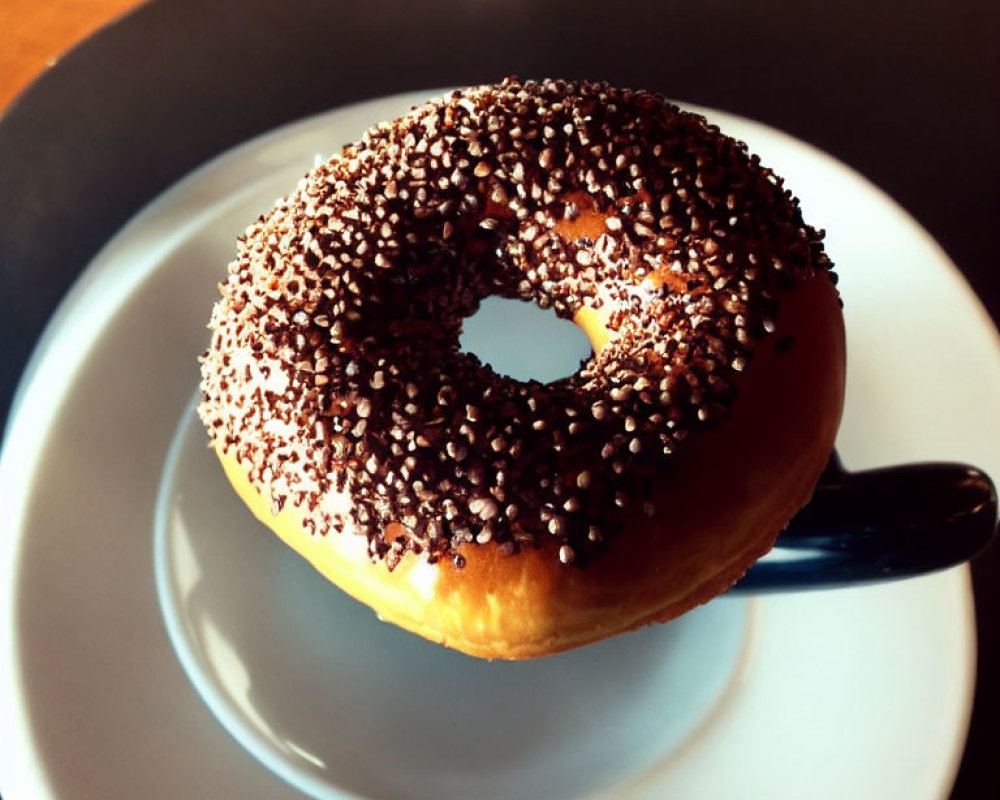 Chocolate-frosted donut with sprinkles on white plate, dark background, soft light.