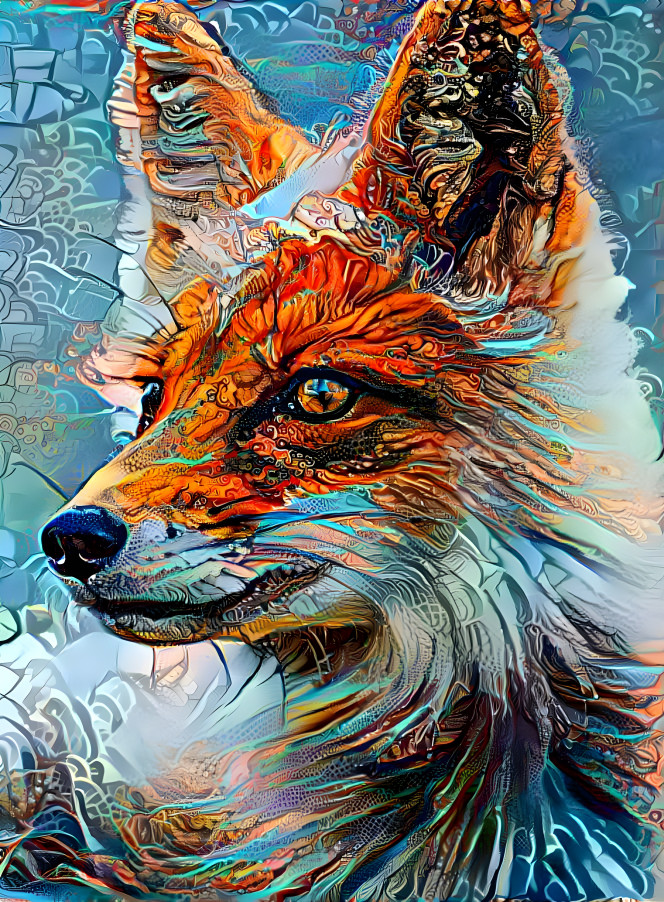 Cool Fox