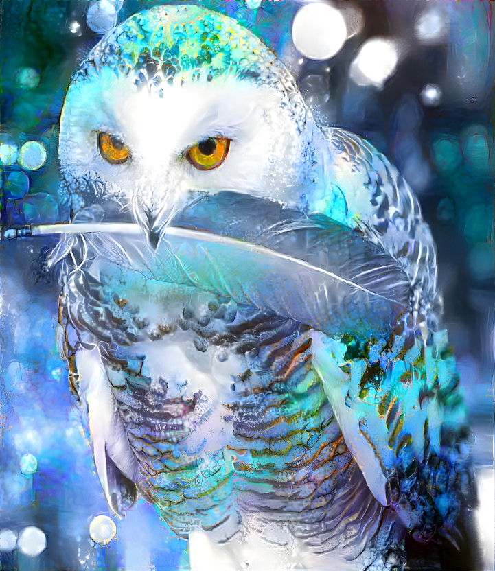 Snow Owl