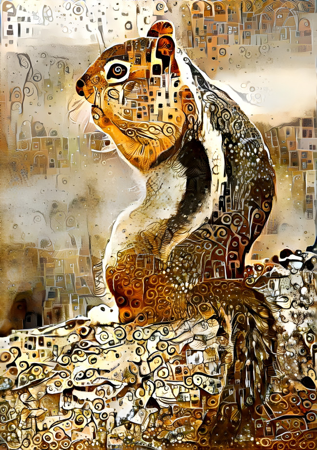 Squirrel 