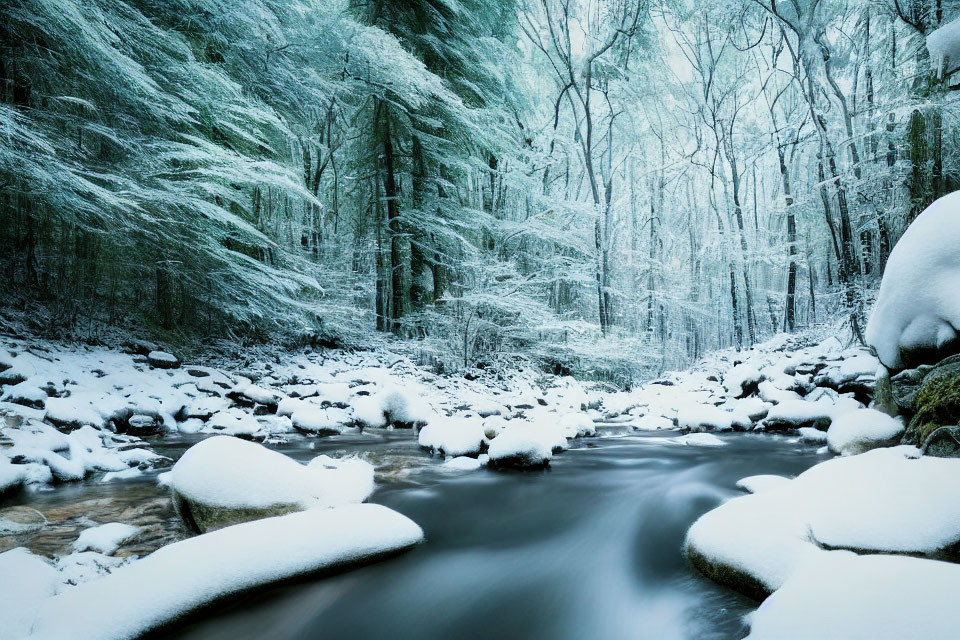 Snow-covered river and frosty forest in serene winter landscape