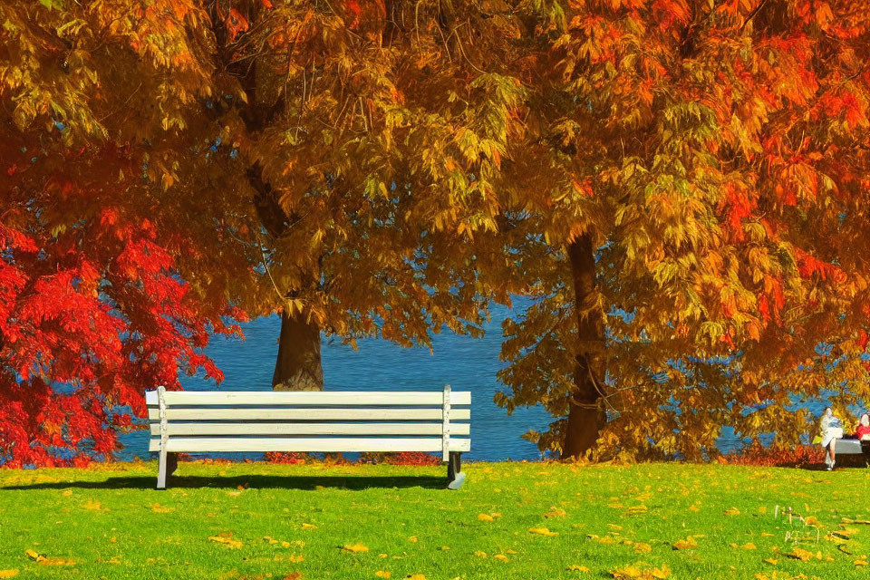 Autumnal lake scene with white bench, red and orange trees, green grass, and blue water