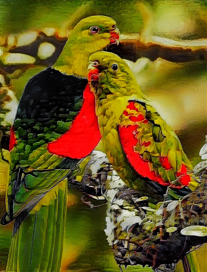 Parrots