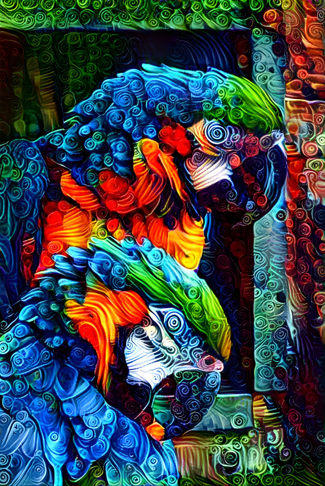 Macaws