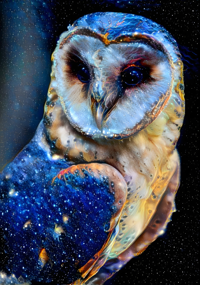 Night Owl