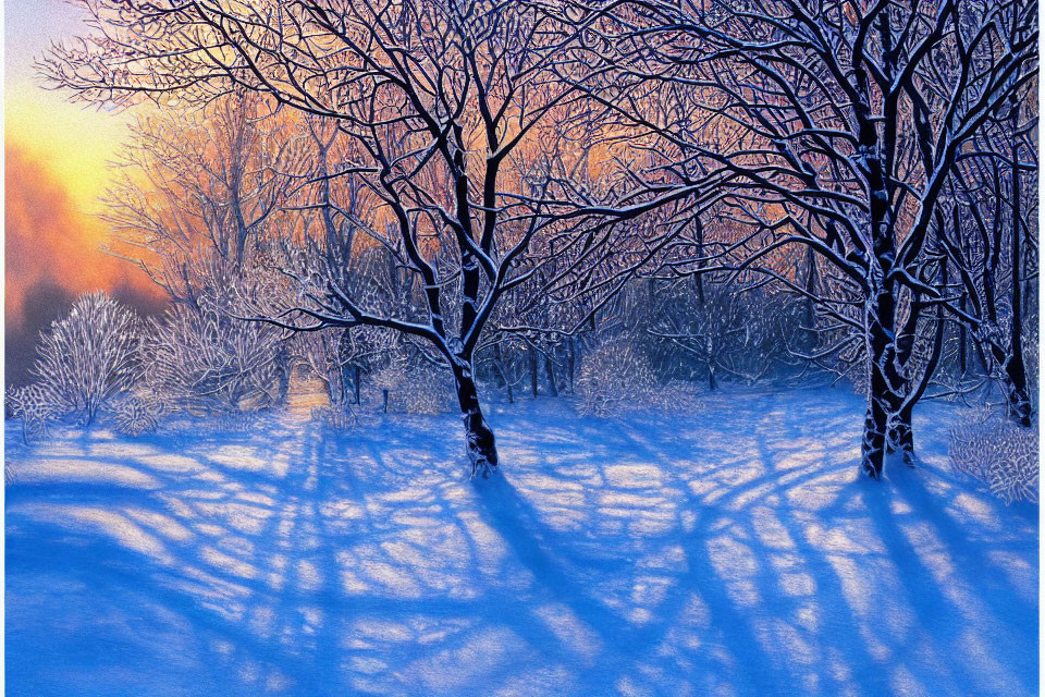 Snow-covered Sunrise Landscape with Long Tree Shadows