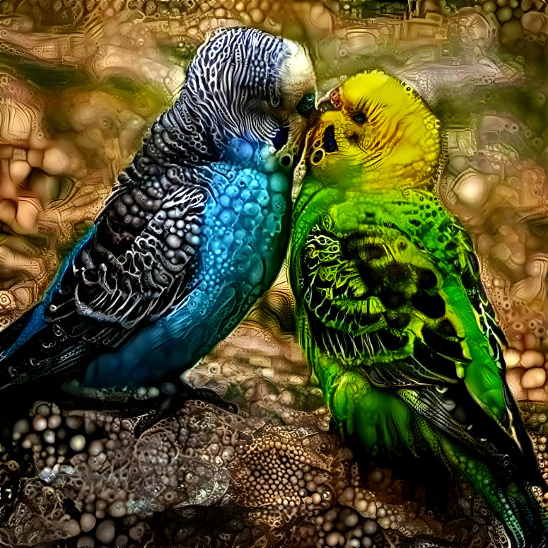 Love Birds