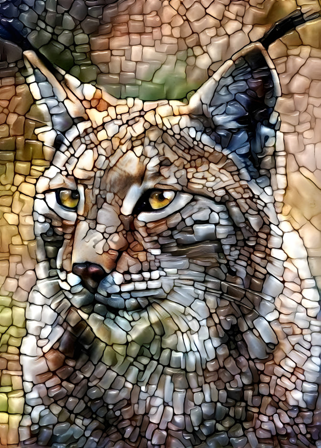 Lynx