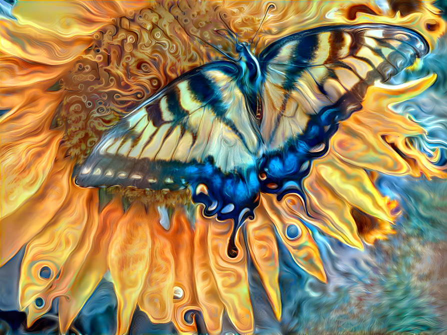 Butterfly on Sunflower