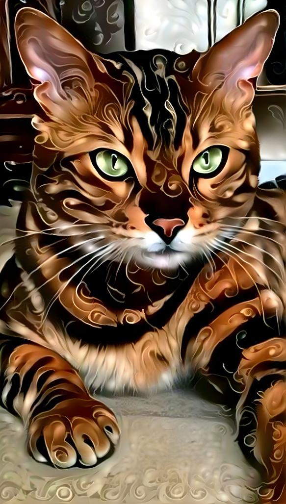 Bengal Cat