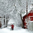 Snowy path by wooden cabin in winter forest.