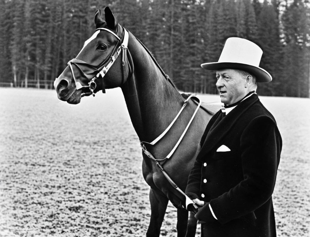 Elegant Individual with Horse in Expansive Field