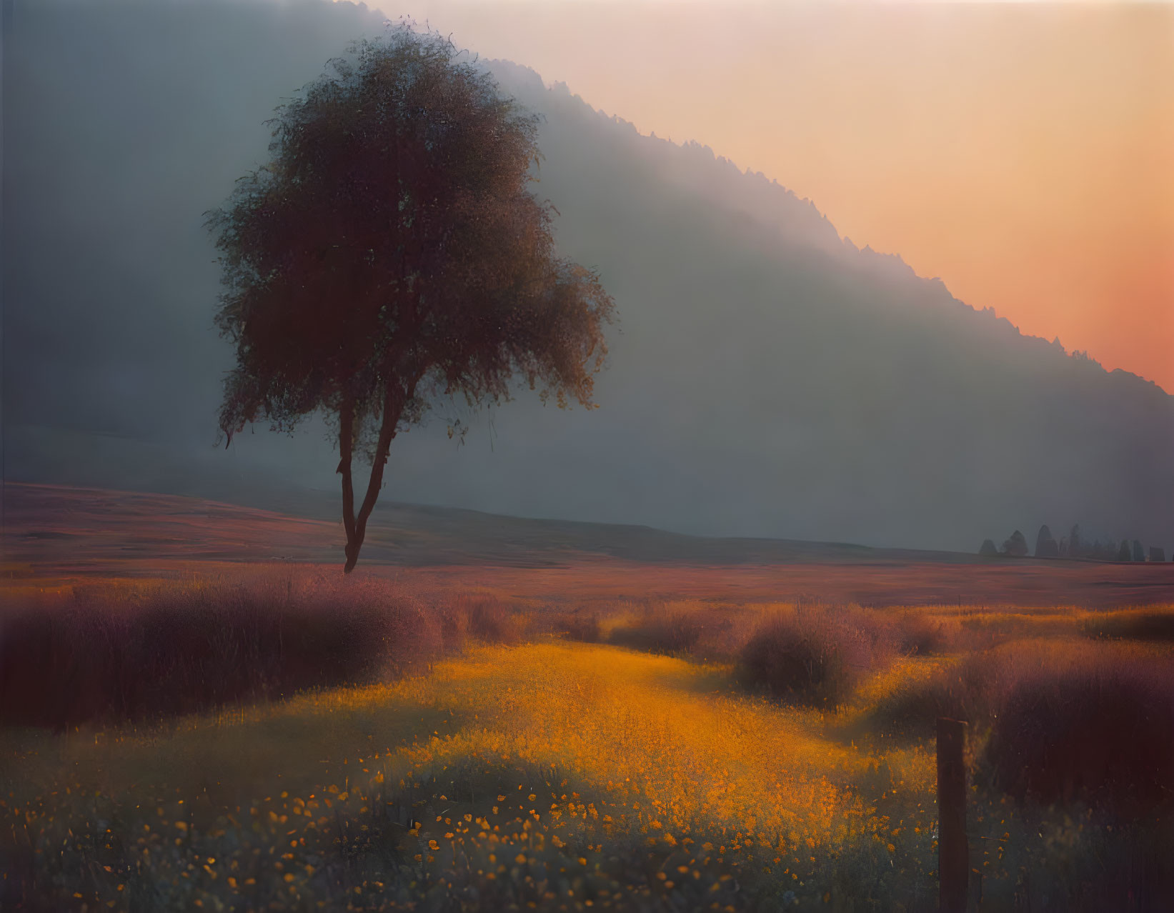 Lone tree in misty meadow with golden wildflowers under warm sunset sky