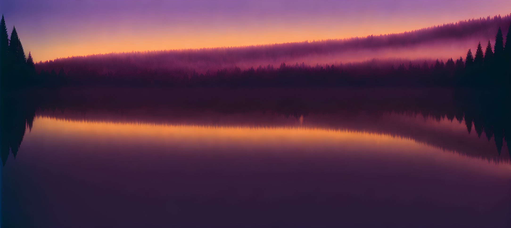 Tranquil forest and sky reflected in placid lake at twilight