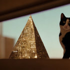 Black and White Cat Observing Golden Pyramid Scene