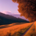 Tranquil landscape: winding path, golden hills, autumn trees, soft sunrise