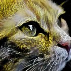 Vibrant Close-Up of a Cat's Face with Green Eyes
