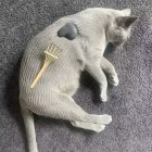 Realistic Drawing of a Sleeping Gray Tabby Cat