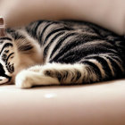 Cozy Gray-Striped Cat Sleeping on Beige Couch