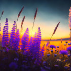 Purple flowers under golden sunset sky in tranquil field