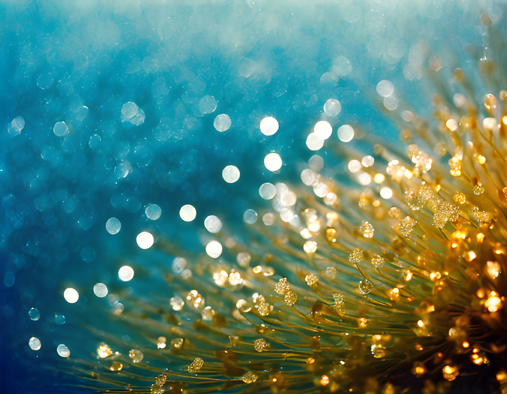 Close-up Abstract Golden Fibers on Blue Bokeh Background