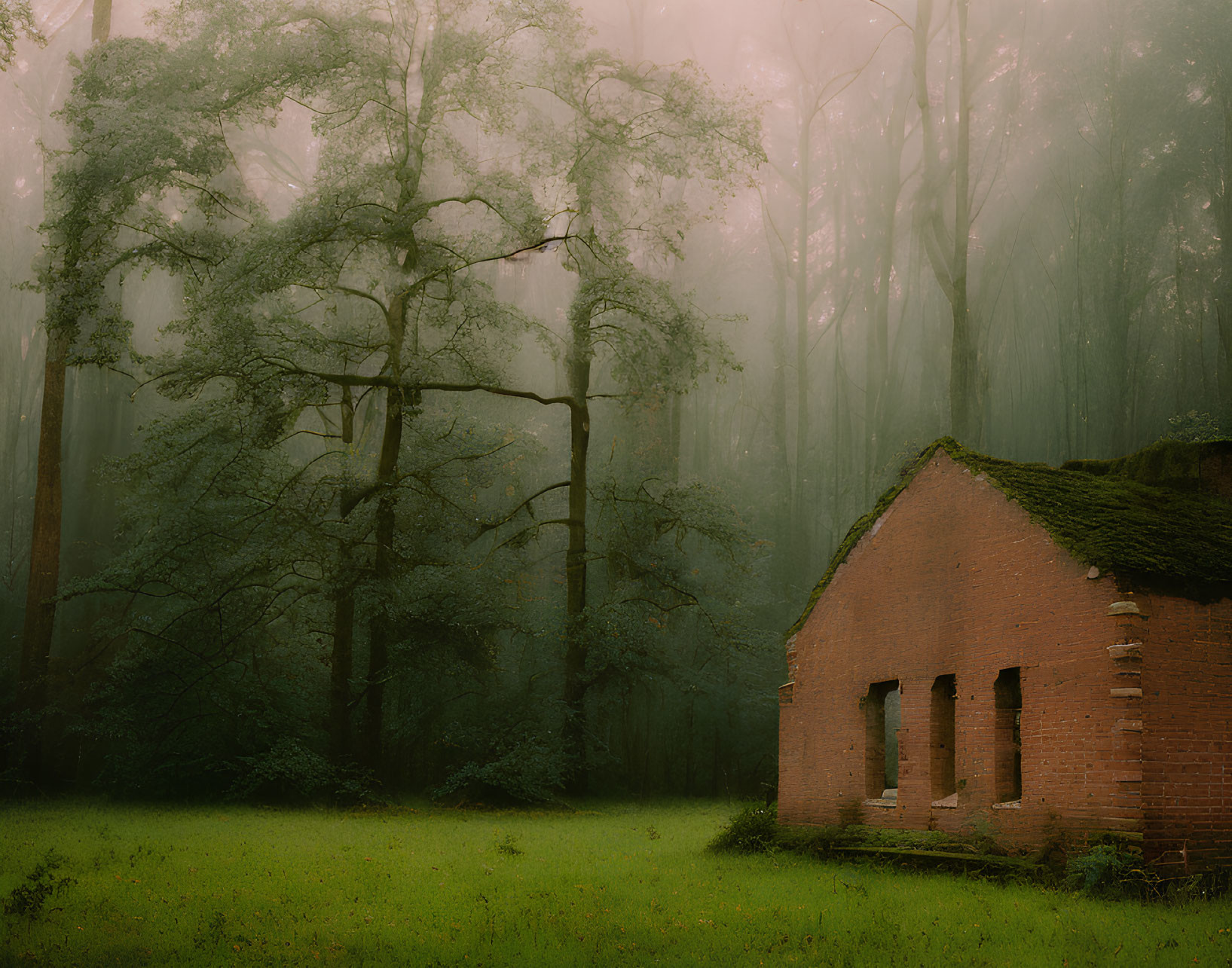 Abandoned red brick building in misty forest with moss and tall trees