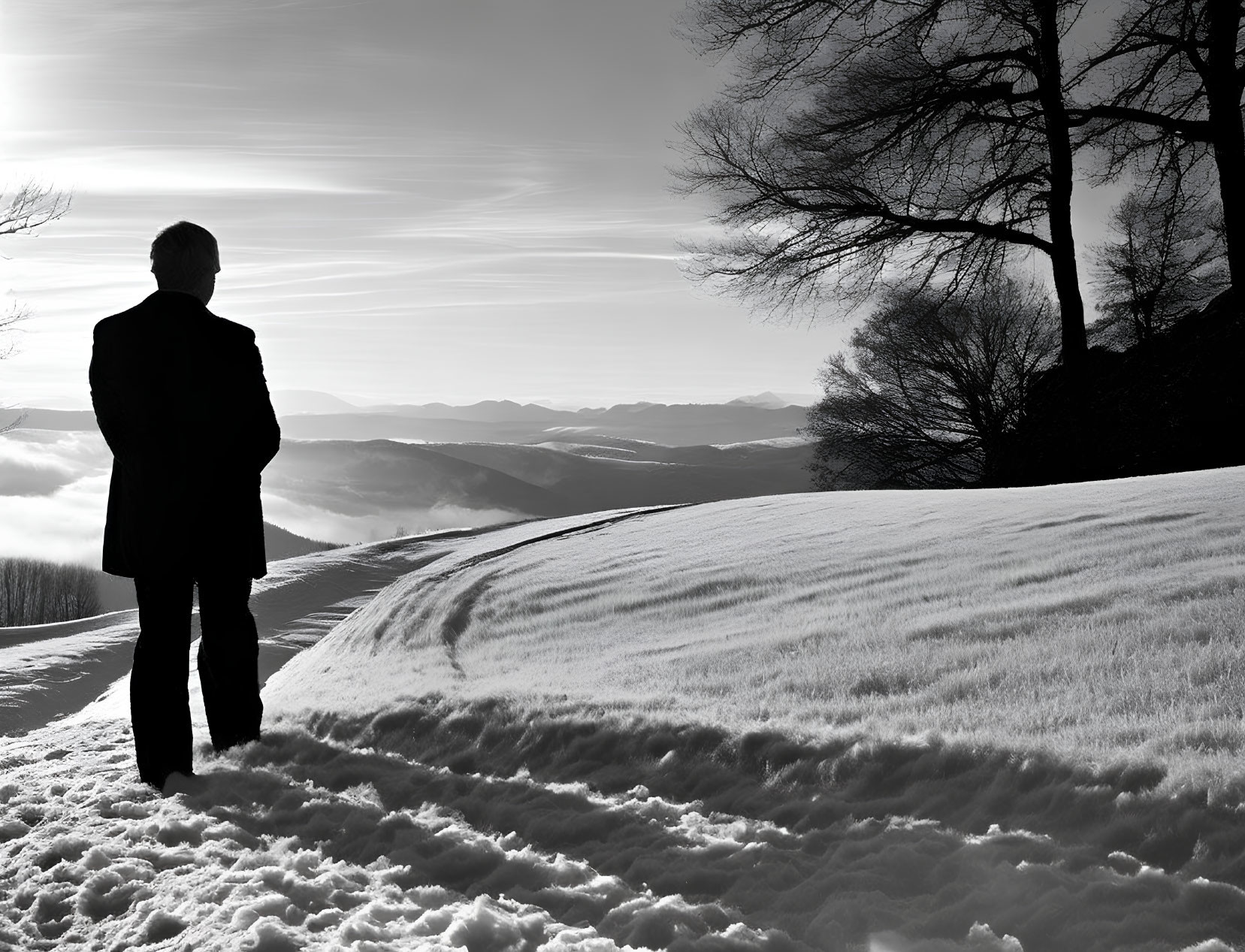 Person in coat admiring snowy hill landscape