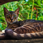 Colorful Striped Cat Painting in Lush Jungle with Blue Eyes