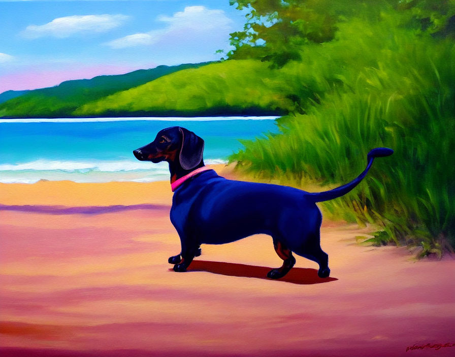 Black dachshund on sandy beach with pink collar, surrounded by green bushes and blue sky
