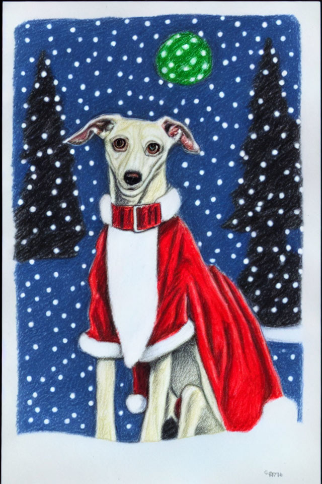 Dog in Red Holiday Cape Sitting by Snowy Pine Trees with Green Ornament