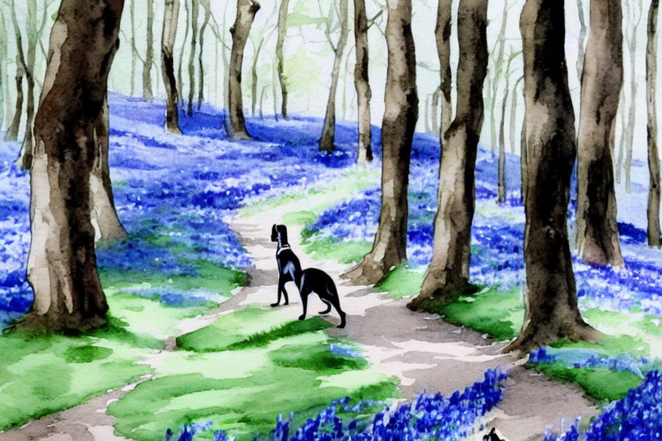 Watercolor painting: Dog in bluebell forest with slender tree trunks