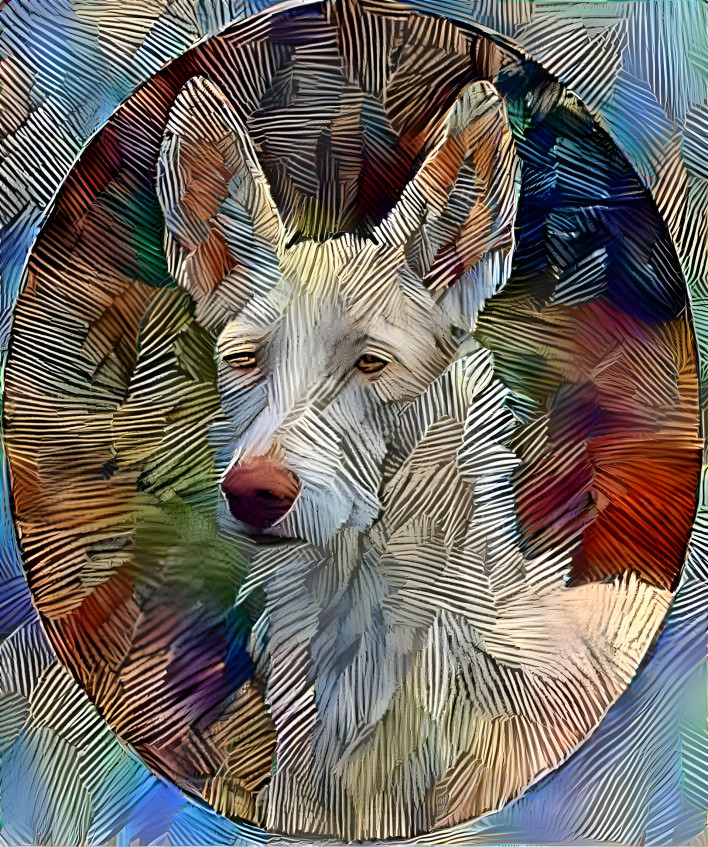 podenco art