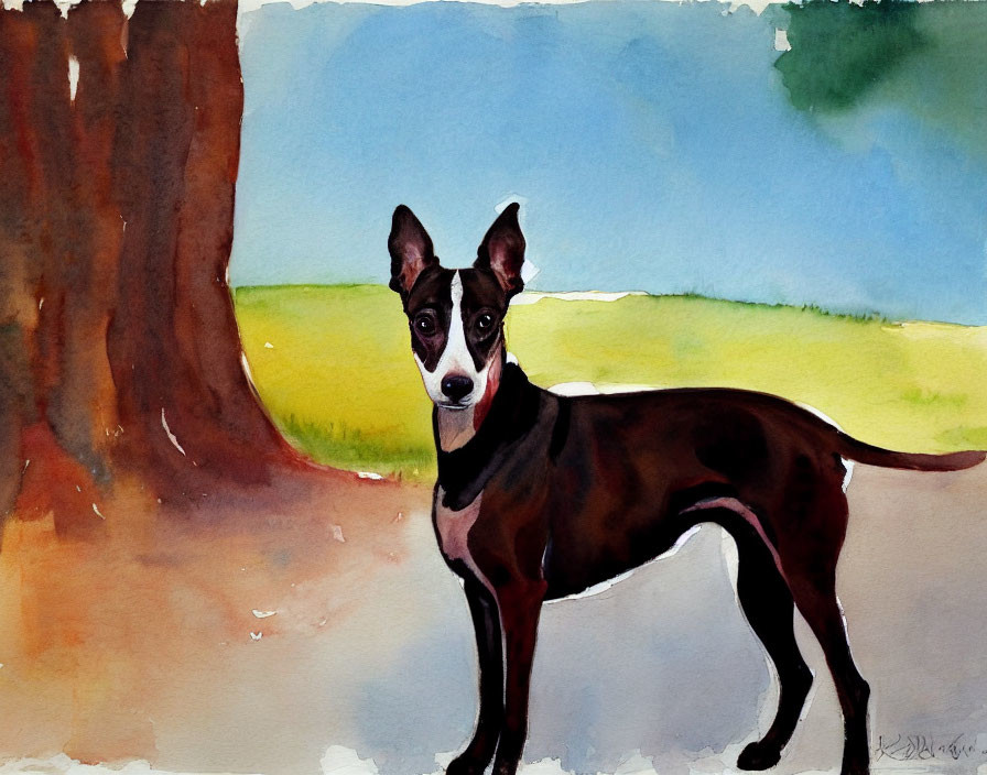 Black and white dog in grassy field with tree trunk under blue sky