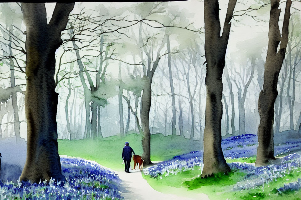 Watercolor painting of person walking with dog in forest with bluebell flowers