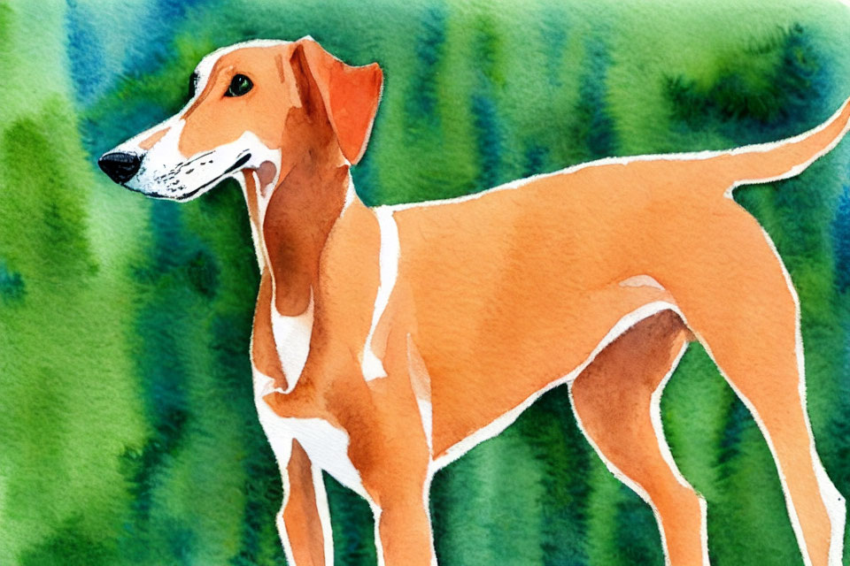 Brown and White Dog in Watercolor Against Greenery Background