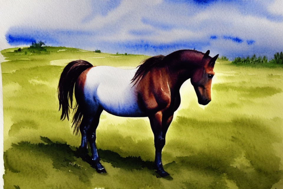 Brown and White Horse Watercolor Painting in Verdant Field Under Blue Sky