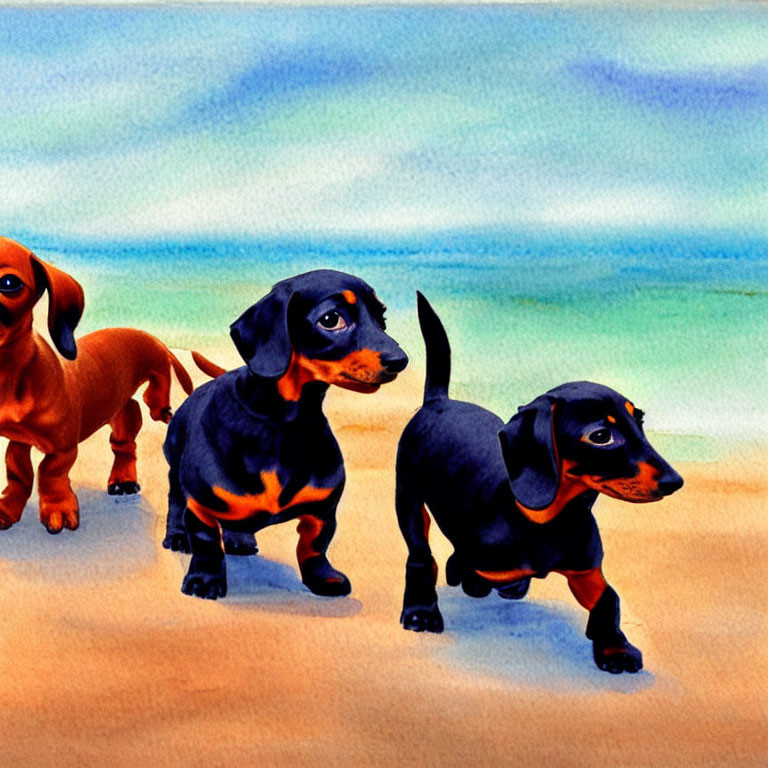 Vibrant painted dachshunds on sandy beach with blue sky