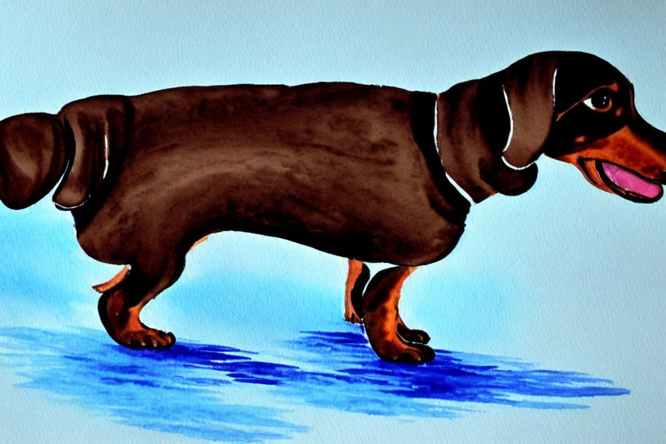 Brown Dachshund Watercolor Painting on Blue Surface