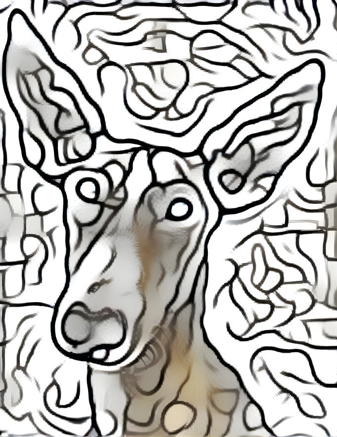 another podenco