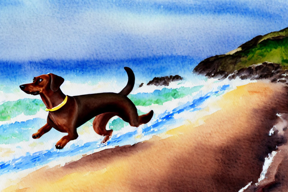 Brown Dachshund Running on Sandy Beach with Waves and Rocky Cliff