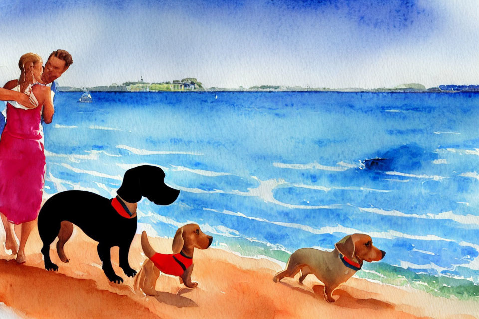 Couple embracing on beach with two dogs, calm seas, clear sky