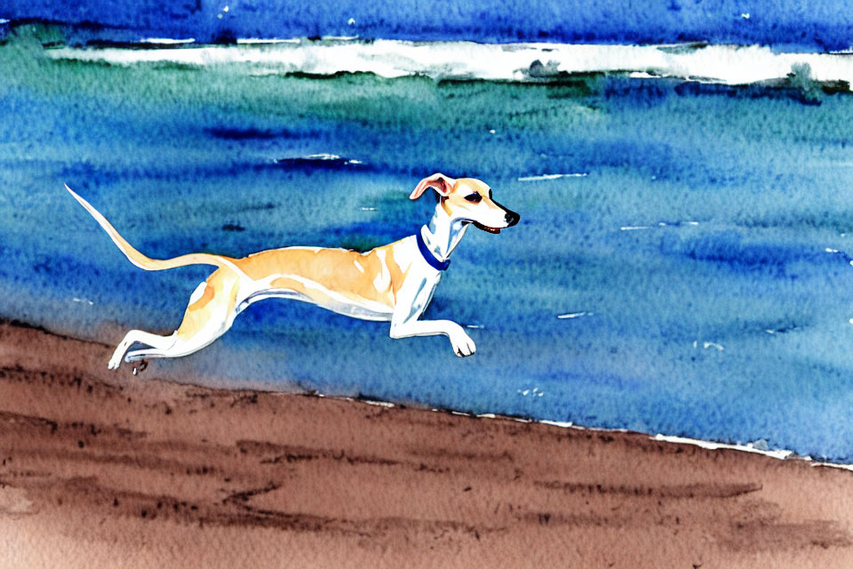 Joyful Tan and White Dog Running on Sandy Beach with Blue Waves
