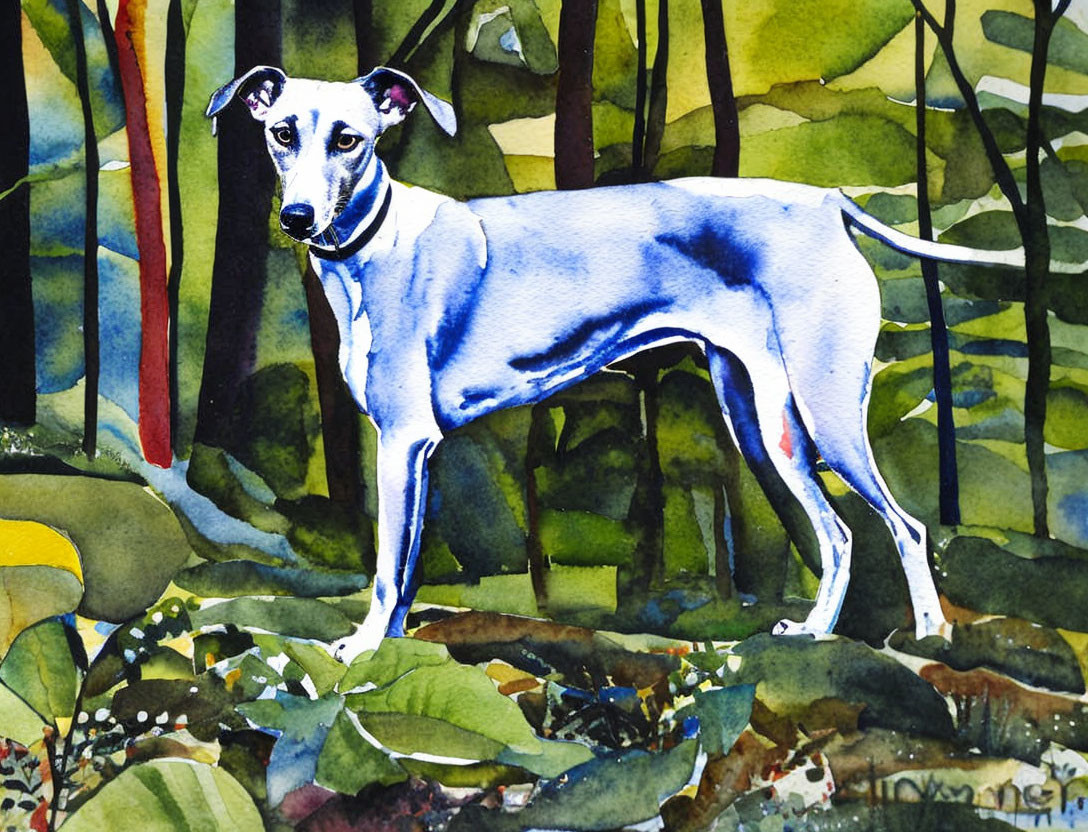 Slender white dog in blue shading amidst forest rocks and foliage